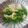 Rita 的 青菜豆腐湯 cooksnap