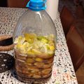 El cooksnap de gerbeth77 cuando hizo Licor de Limón D. Fernando.