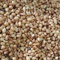 Cooksnap dari Desthika Nafira untuk resep 481.Kacang Tojin / Bawang