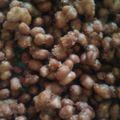 Cooksnap dari Andi Ratu Hatmun untuk resep Kacang disco