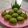 Cooksnap dari Siti Kartika untuk resep Putu bambu tanpa cetakan ala abang-abang