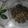 Cooksnap dari Lien Maoeliena untuk resep Asam  Kareng (Sambal Teri Segar)