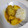El cooksnap de yuli cuando hizo Pollo guisado con verduras y patatas fritas.