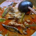 Cooksnap dari Eka Abd Aziz untuk resep Bebek Masak Merah Aceh