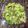 dbwatkins@windstream.net's cooksnap of when they made Autumn Salad.