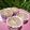 รูป Cooksnap ของ Witney เมื่อเขาทำ เค้กกล้วยหอมสูตรนึ่ง เอาใจคนไม่มีเตาอบ ไม่ใช้เครื่องตีมือ ฟูนุ่มชุ่มฉ่ำข้ามวัน
