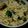 Nalini Shankar's cooksnap of when they made திணை உப்புமா(thinai upma recipe in tamil).