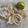 Jigisha Modi's cooksnap of when they made લચ્છા ડુંગળી (Lachha Dungli Recipe In Gujarati).