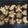 Cooksnap dari Angelina Wijaya untuk resep Christmas Ginger Cookies