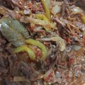 El cooksnap de bethacam cuando hizo Ropa Vieja cubana.