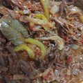 El cooksnap de bethacam cuando hizo Ropa Vieja cubana.