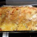 Christycooks's cooksnap of when they made Teri's Cheesy Salsa Chicken.