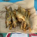 Cooksnap dari ummi syarifah untuk resep Goreng ikan telur sishamo/capelin