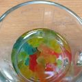 El cooksnap de Jess Ceballos cuando hizo Panditas Borrachos🐼 (Jelly-shots).