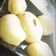 Rajvi Bhalodi's cooksnap of when they made સોજી નો શીરો (Soji No Sheero Recipe In Gujarati).