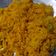 Ganga का कुकस्नैप जब उन्होंने नमकीन चावल (namkeen chawal recipe in Hindi) बनाया था।