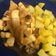 El cooksnap de Alberto Lamas Ferrer cuando hizo Calamares encebollados con cerveza y patatas fritas.
