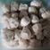 Cooksnap dari Siska untuk resep Bakso Ayam Kenyal