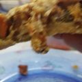 El cooksnap de Graciela Negro cuando hizo Masa para tartas libre de gluten.