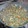 El cooksnap de 95vanedg cuando hizo Calamares encebollados con habas.