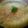 El cooksnap de Celi Soler cuando hizo Tortilla vegetariana de arroz. Fácil de hacer, SÚPER ECONÓMICA y en 30 minutos!.