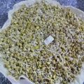 Meena Ramesh's cooksnap of when they made முளைகட்டிய பச்சை பயிறு மற்றும் முழு கருப்பு உளுந்து(sprouted greengram and black dal in tamil).