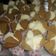 Cooksnap dari Yona Angel Pormes untuk resep Bolu kukus mekar