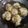 Cooksnap dari Vitriana Dradjat untuk resep Bakso Goreng Ayam (gurih mekar tidak alot tidak peyot)