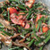 Cooksnap dari Agung Winoto untuk resep Tumis pakis (paku) ikan teri