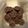 Cooksnap dari monika untuk resep Coco chip cookies / good time kw
