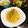 El cooksnap de 🇺🇾 𝓚𝔂𝓸 🇯🇵　🎉JPN-UY 100°ANIVERSARIO 🇺🇾🇯🇵EN 2021🎉 cuando hizo Pasta con salsa Carbonara el artesano del carbón de leña Japonés CARBONARA🇮🇹🇺🇾🇯🇵炭焼き職人風パスタ・カルボナーラ.