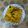 Shital Manek's cooksnap of when they made ખમણ (Khaman Recipe In Gujarati).