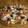 El cooksnap de montse-2009 cuando hizo Salpicón de pulpo.