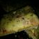 El cooksnap de Maria Fierro cuando hizo Pizza de la tía -sin levadura.