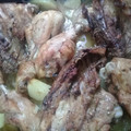 El cooksnap de alicia beatriz infante cuando hizo Pollo al horno con cerveza.