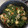 Kate's cooksnap of when they made Palak paneer.