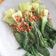 Cooksnap dari Lulu untuk resep Bok Choi Siram Saus Tiram