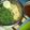 Cooksnap dari Yanni Liang untuk resep Urap Minimalis
