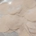 lily's cooksnap of when they made Kulit Dumpling/Gyoza/Pangsit/Siomay Homemade.