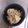 Ting匠手作 的 花生燉豬腳 cooksnap