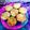 Areeba Muhammed's cooksnap of when they made Qeemy ki kachori.