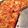 Cooksnap από kimwlos στη συνταγή Pizza special al forno της Κρυσταλλίας