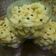 Cooksnap dari Bunda Keysha untuk resep Semprit Susu