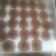 Cooksnap dari Yeni Latifah untuk resep Good time cookies Choco chips - renyah
