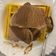 Cooksnap dari Michelin untuk resep Waffle ala AW