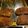 Hattie Woolley's cooksnap of when they made Brown sugar and cinnamon pork chops.