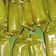 Cooksnap dari Mbk Irin untuk resep Lemper ayam isian melimpah