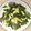 棠棠 的 長豆炒雞蛋 cooksnap