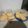 El cooksnap de Alan Romero cuando hizo Galletitas de Coco.