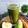 Cooksnap dari Reni Nuraini untuk resep Green Juice Dengan Sayuran Umbi